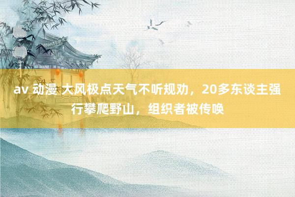 av 动漫 大风极点天气不听规劝,20多东谈主强行攀爬野山,组织者被传唤