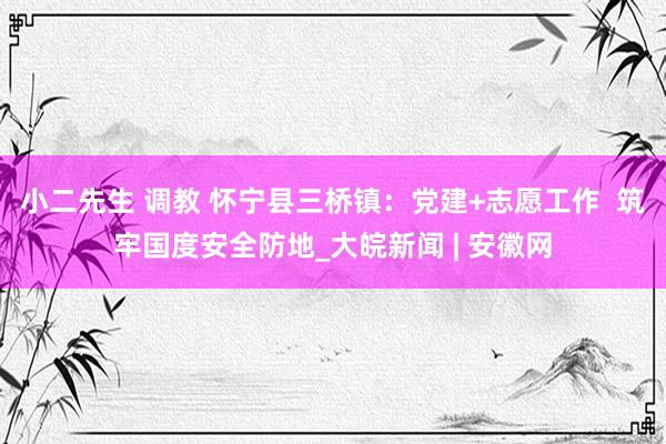小二先生 调教 怀宁县三桥镇：党建+志愿工作  筑牢国度安全防地_大皖新闻 | 安徽网