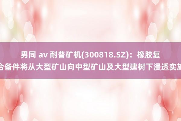 男同 av 耐普矿机(300818.SZ)：橡胶复合备件将从大型矿山向中型矿山及大型建树下浸透实施