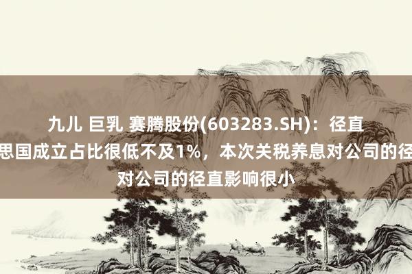 九儿 巨乳 赛腾股份(603283.SH)：径直出口挚友意思国成立占比很低不及1%，本次关税养息对公司的径直影响很小