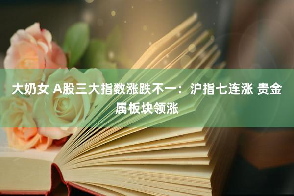 大奶女 A股三大指数涨跌不一：沪指七连涨 贵金属板块领涨