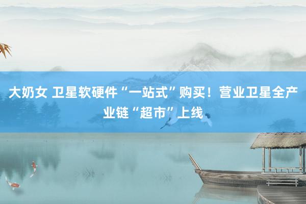 大奶女 卫星软硬件“一站式”购买！营业卫星全产业链“超市”上线