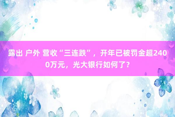 露出 户外 营收“三连跌”，开年已被罚金超2400万元，光大银行如何了？