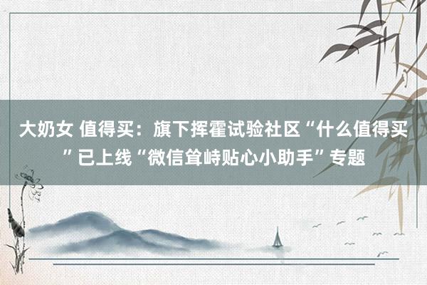 大奶女 值得买：旗下挥霍试验社区“什么值得买”已上线“微信耸峙贴心小助手”专题