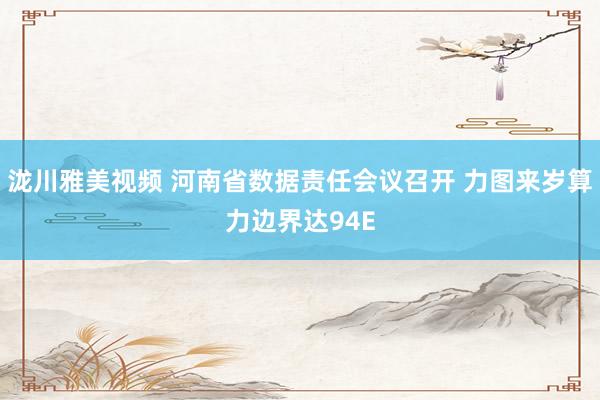 泷川雅美视频 河南省数据责任会议召开 力图来岁算力边界达94E