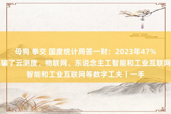 母狗 拳交 国度统计局答一财：2023年47%的限度以上企业诓骗了云测度、物联网、东说念主工智能和工业互联网等数字工夫丨一手