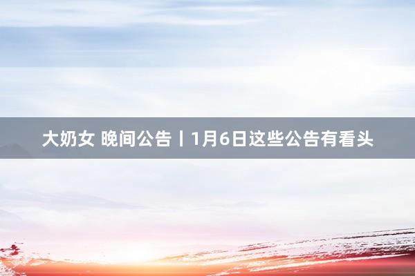 大奶女 晚间公告丨1月6日这些公告有看头