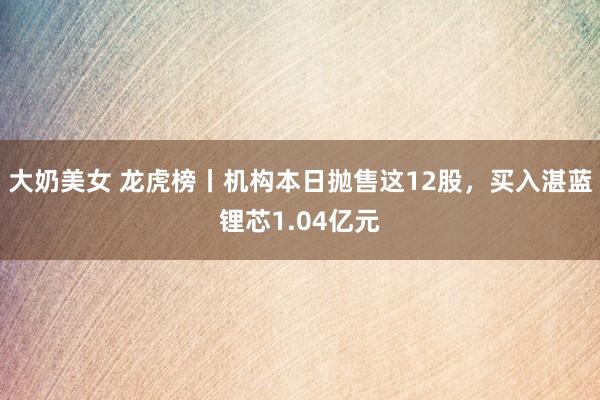 大奶美女 龙虎榜丨机构本日抛售这12股，买入湛蓝锂芯1.04亿元