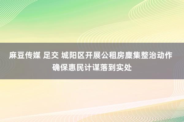 麻豆传媒 足交 城阳区开展公租房麇集整治动作 确保惠民计谋落到实处