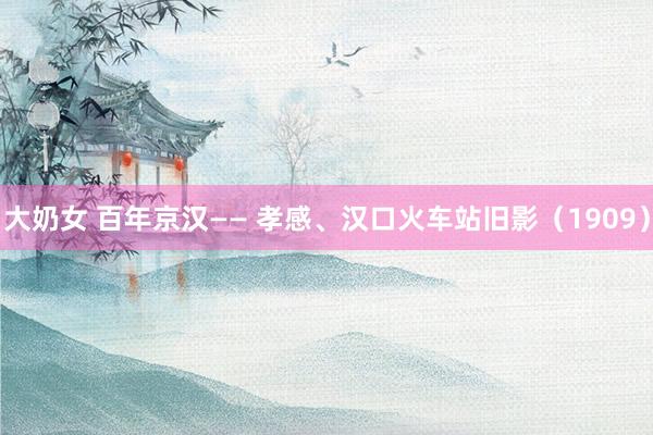 大奶女 百年京汉—— 孝感、汉口火车站旧影（1909）